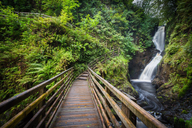 Glenariff Forest Park