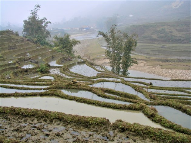 Rijstterrassen in noord Vietnam.