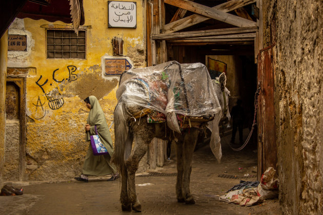 Steegje in Fez.