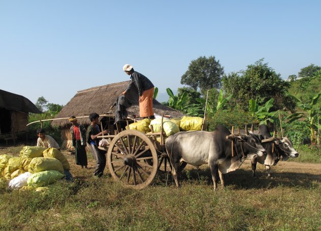 Plattelandsplaatje