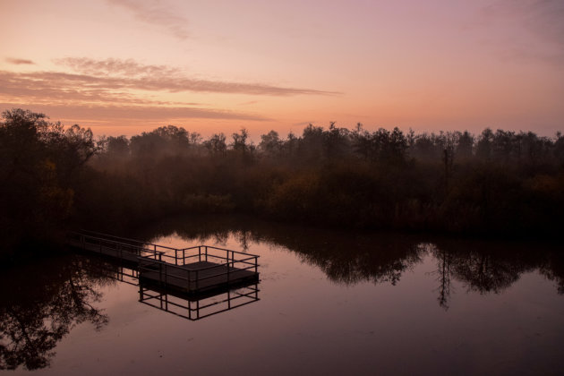 Een ochtend in de Moerputten