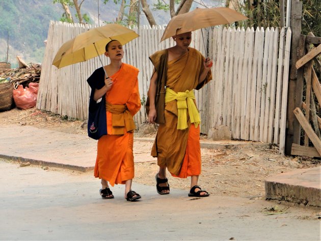 Monniken aan de wandel.
