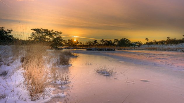 Sunrise in Quin Maasduinen