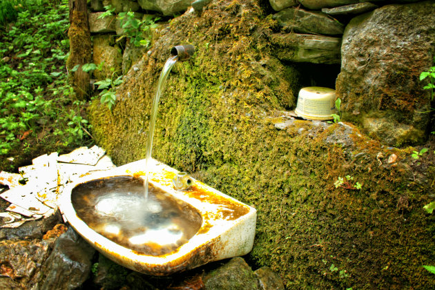 Handen wassen in het bos