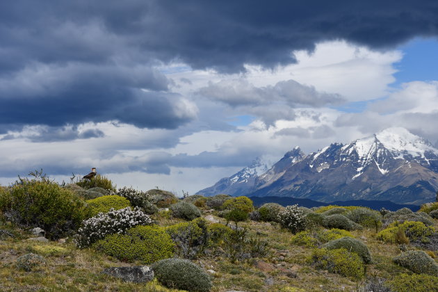 Torres del Paine