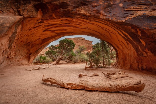 Navajo Arch