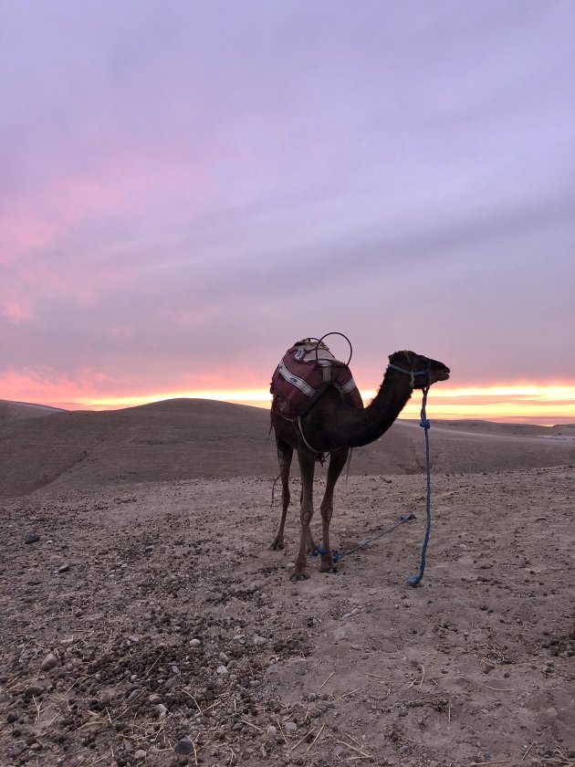 Agafay woestijn - onder de rook van Marrakech