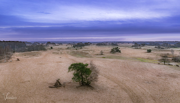 De Sahara van de Lage Landen