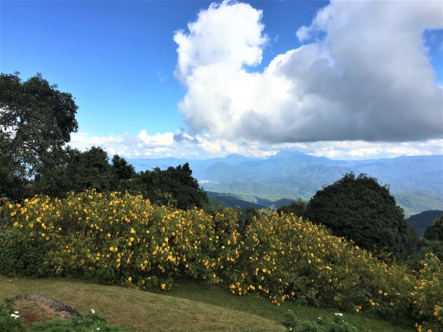 Hoog in de bergen van N.Thailand.