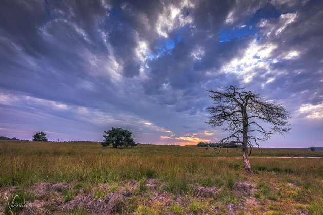 Dramatic at the Posbank Blue Hour