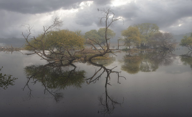 Keoladeo Nationaal Park