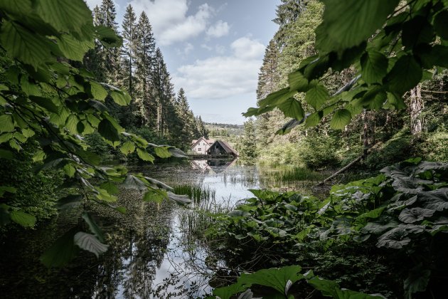 Čogrljevo Lake