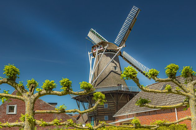 Stellingmolen in Winsum