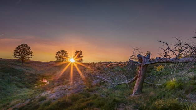 Sunset Mookerheide