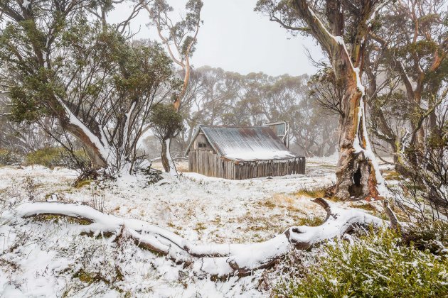 Wallace's hut in de sneeuw