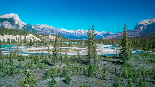 Bow River