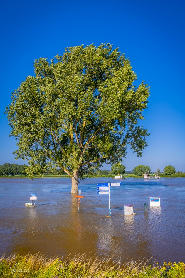 Hoog water in Cuijk