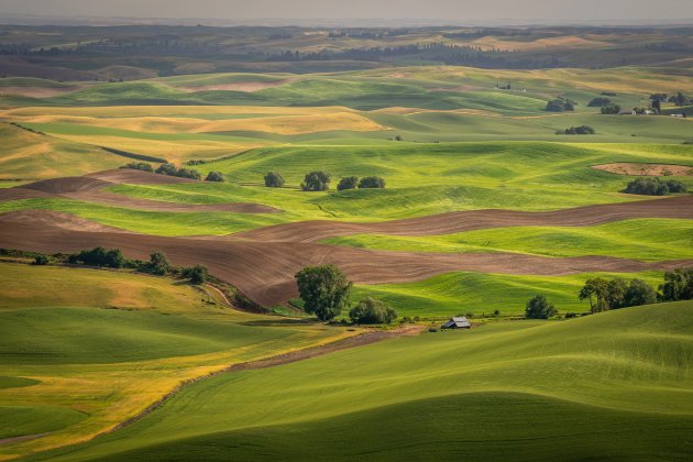 Steptoe Butte