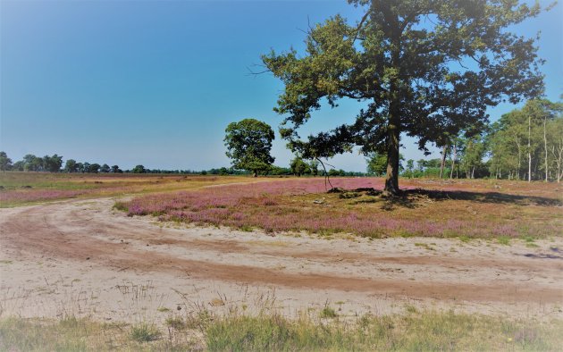 strabrechtse heide