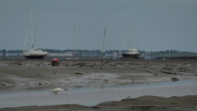 Schiermonnikoog bij laagwater