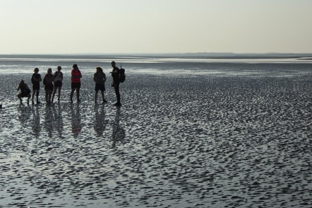 Groei en krimp, Ameland in brede zin.