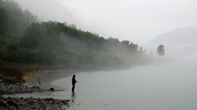 Regenachtige dag aan het Maurangerfjord