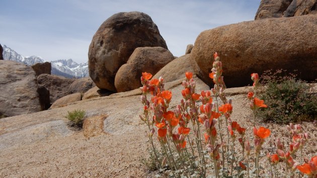 Alabama Hills