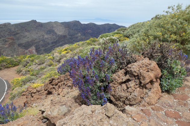 Natuur op la Palma