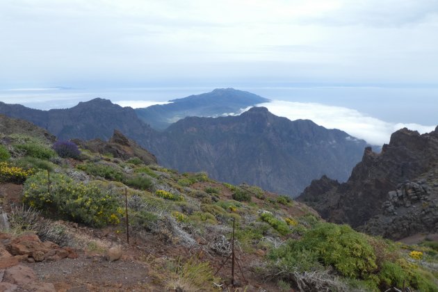 Natuur op la Palma