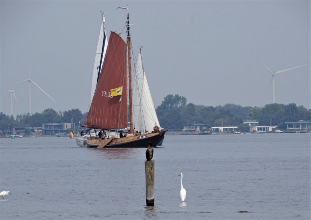 Vogels en boten.