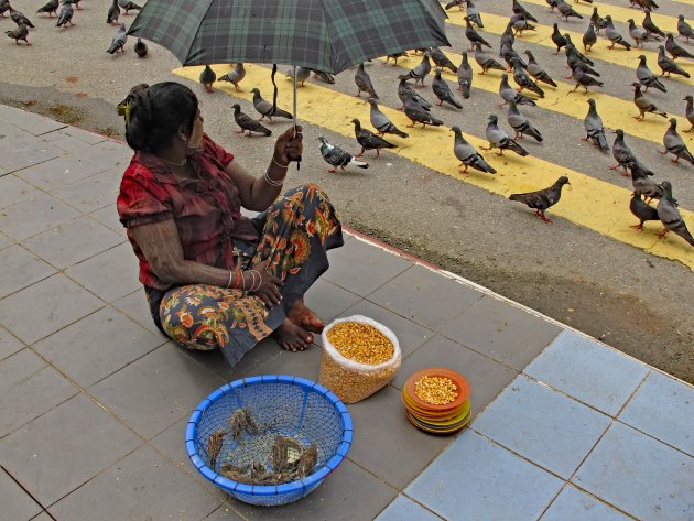 Vogel verkoopster in Rangoon