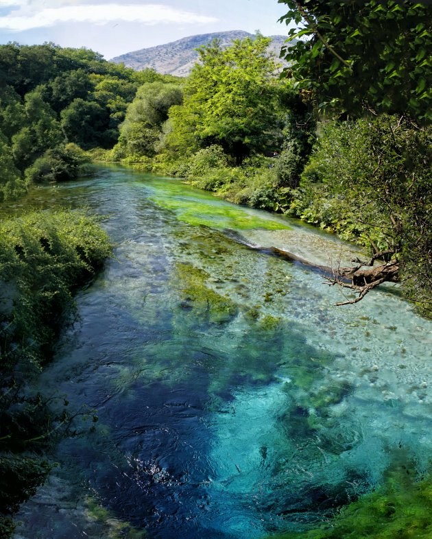 Blue Eye Spring