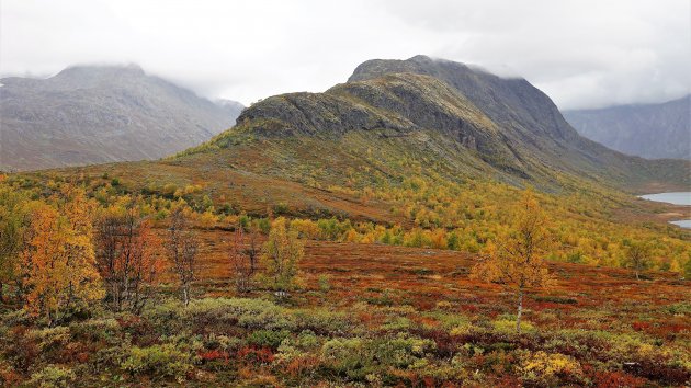 Regenachtige dag in Jotunheimen nP