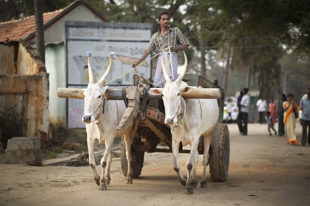 India Streetlife