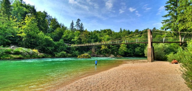 Sava rivier nabij Bled