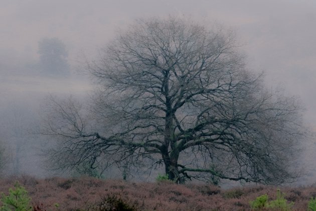 een fijne wandeling