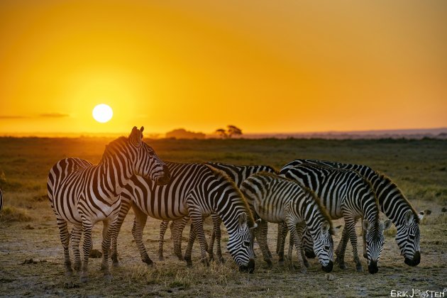 Amboseli Sunrise