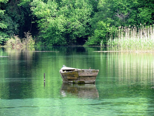 bootje in het groen