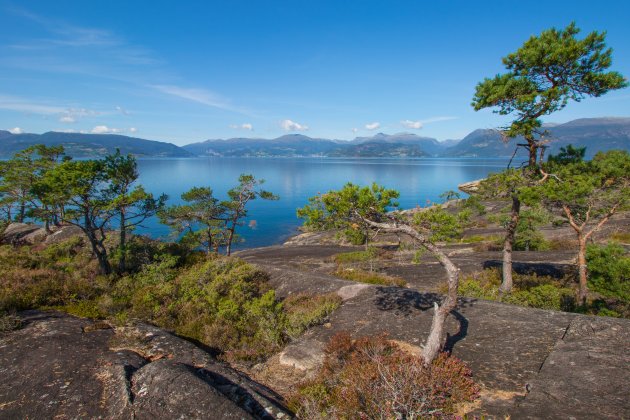 Hardanger Fjord