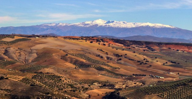 Zicht op de Sierra