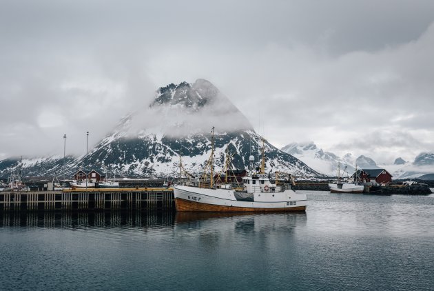 Nordic Harbor.