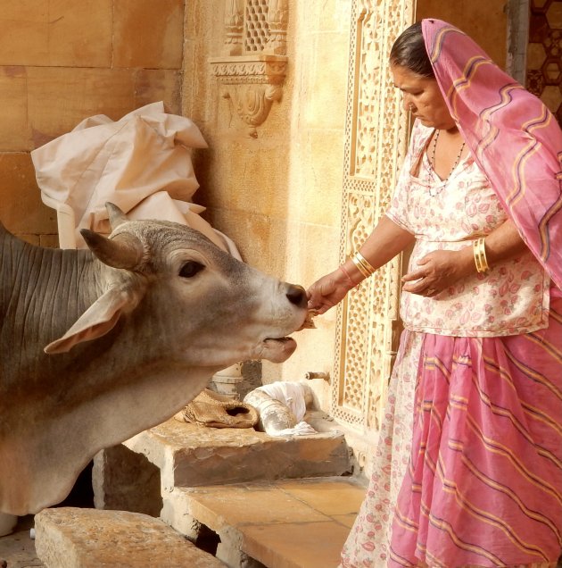 Jaisalmer, de gouden stad in de woestijn