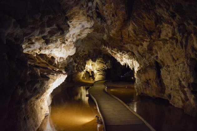 Op weg naar de glowworms