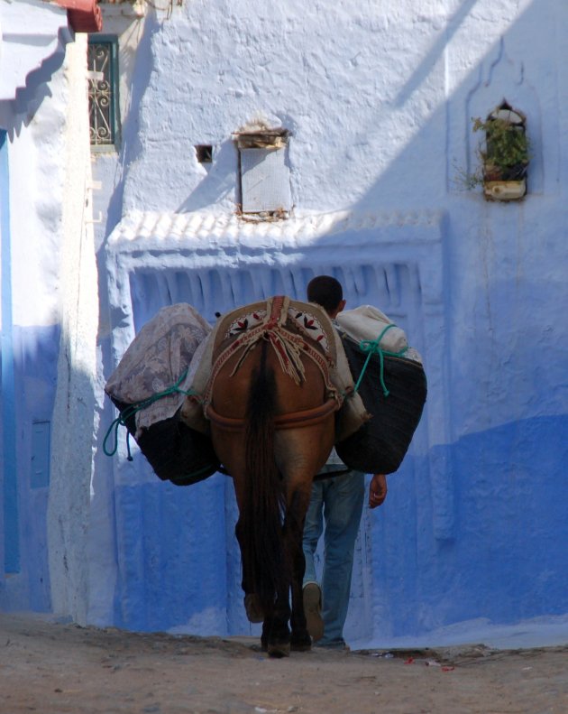 transport in de blauwe stad