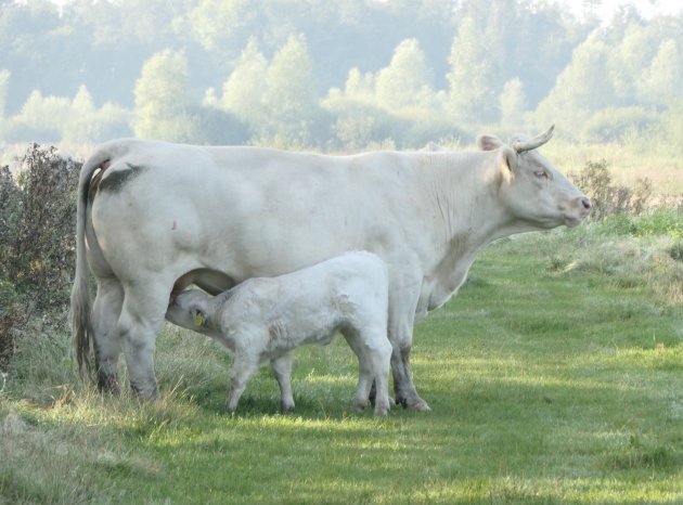 'Ons Kloosterpad' in Nederland. Een absolute aanrader voor meerdaags wandelen!