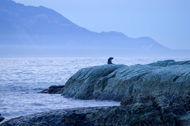 Kaikoura bij zonsondergang