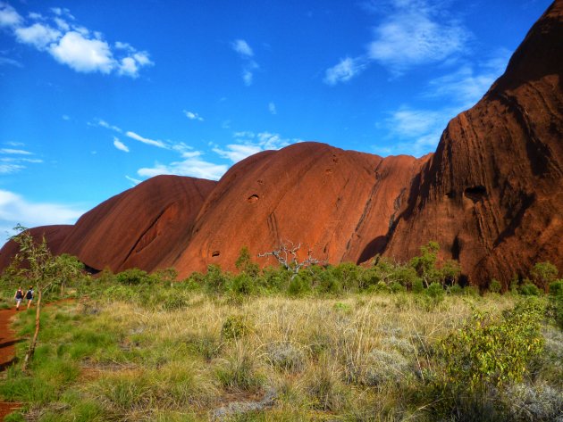 Wandel rondom Uluru