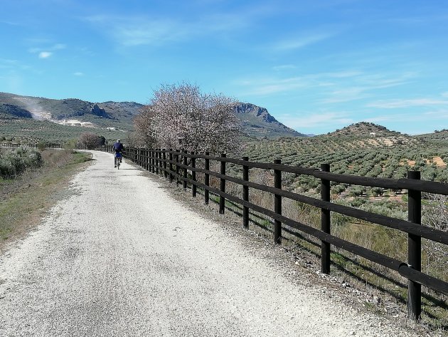 Fietsen over de Via Verde del Aceite