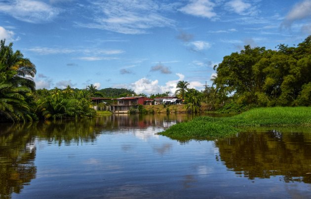 Mangrovetour bij Sierpe