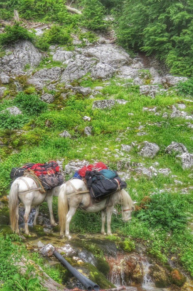 De top over van Valbona naar Teth